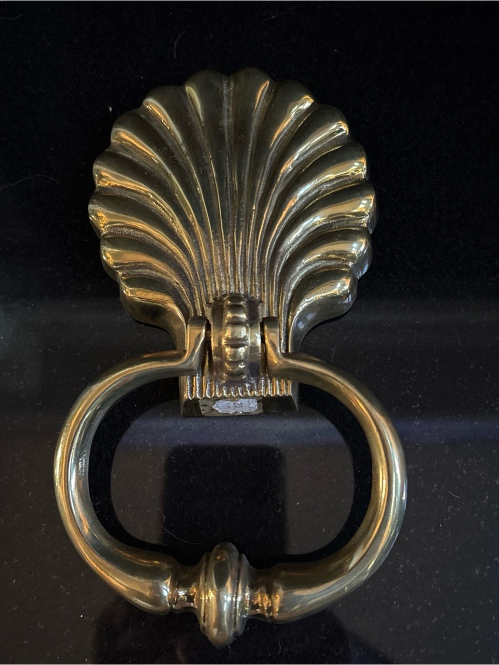 Shell-Style Brass Door Knocker in Gold Finish MCM Coastal